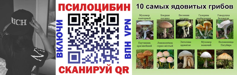 Галлюциногенные грибы Psilocybine cubensis  Черепаново 