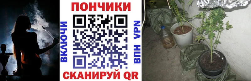 Бошки Шишки тримм  наркошоп  Черепаново 
